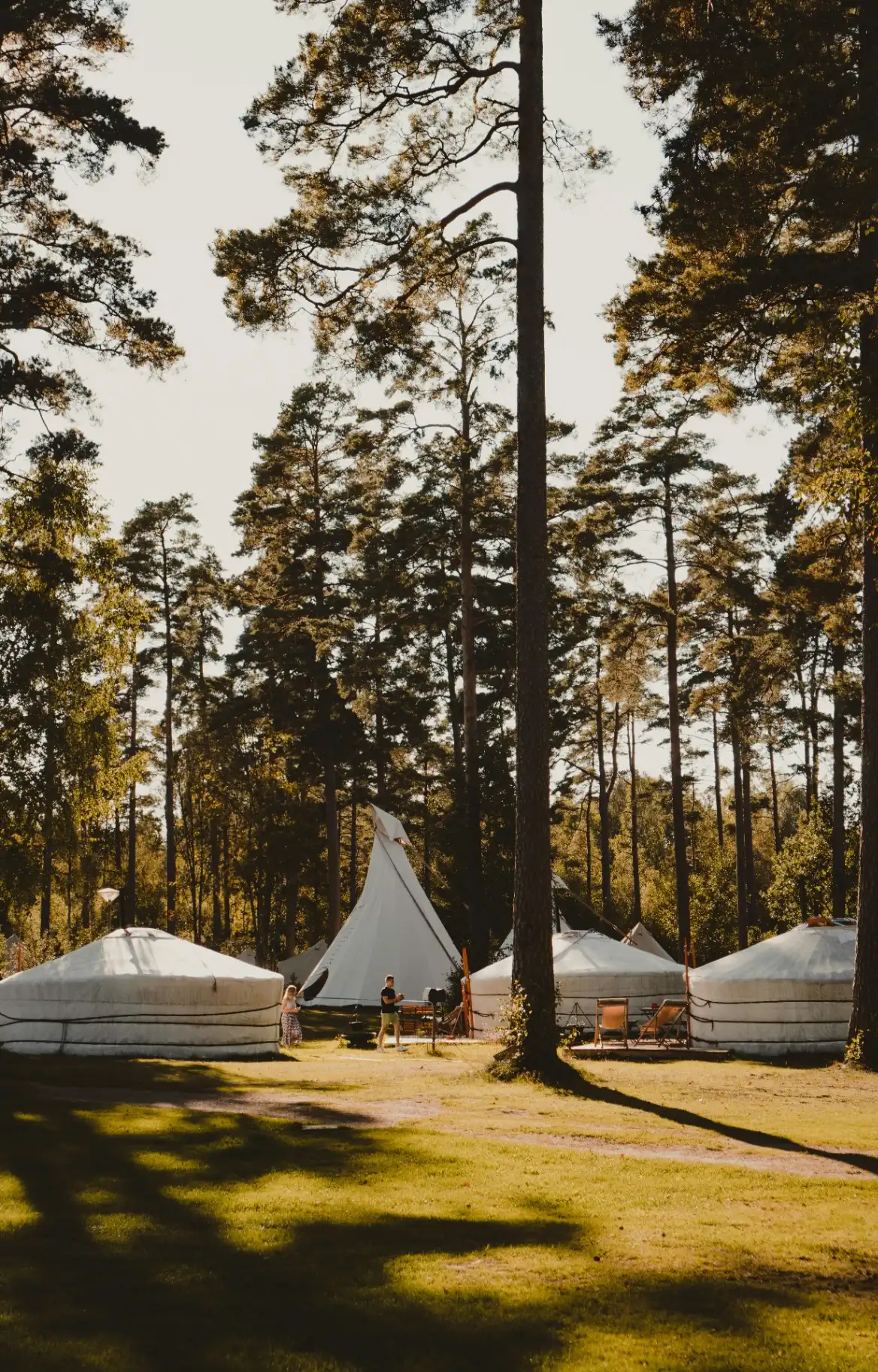 Luxury glamping site at dusk with glowing safari tents