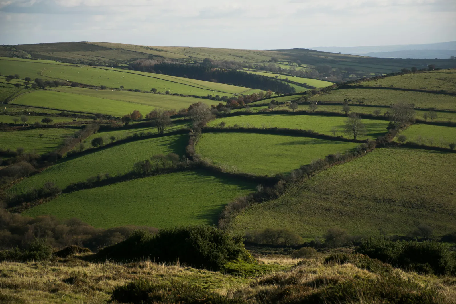 IoT Connectivity for Agriculture UK