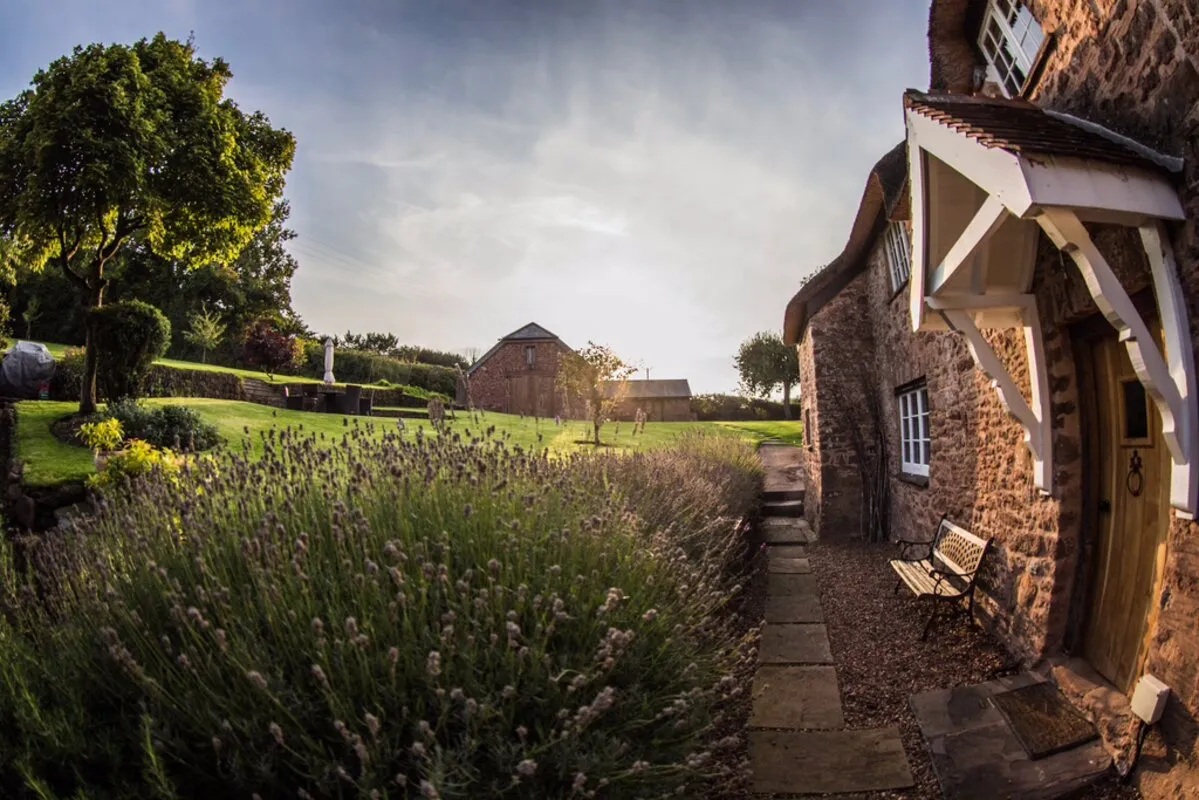 Preparing Your House for Sale: Why Internet Speed Has Never Been More Important